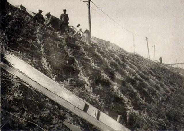 Устройство укрепления откосов на лев. берегу. Октябрь 1936г.