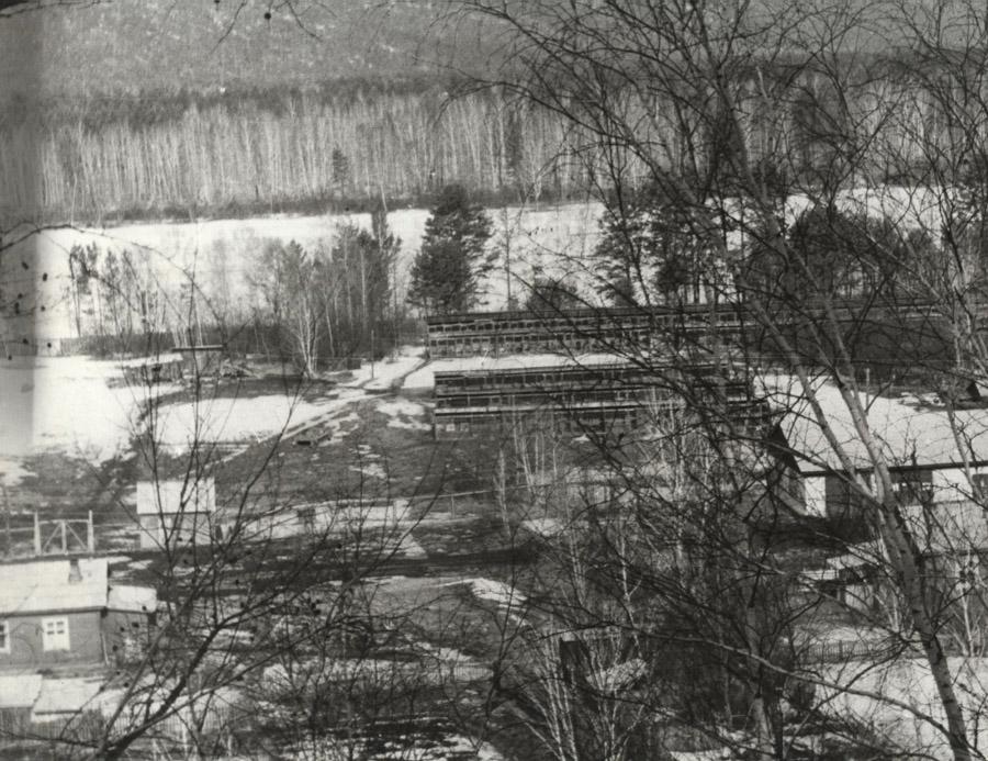 Вид на Иркутский питомник лаек. 1972 год, с. Моты.