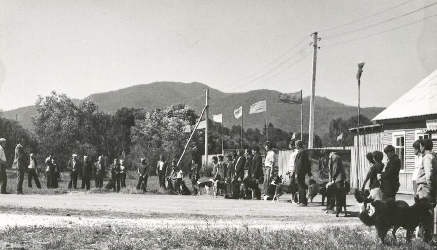 Иркутский питомник лаек.