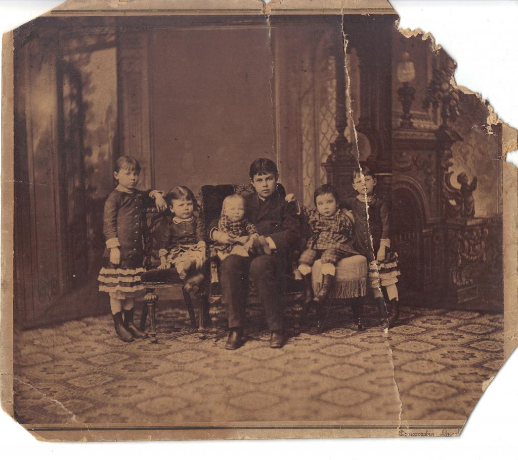 Сошниковы. 1884