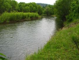 Природа Дзержинска
