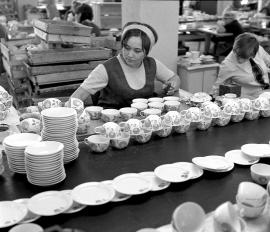 Живописец Людмила Боровская