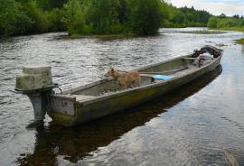 Залогское МО