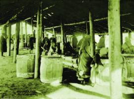 Рыбодел Кузьмина на Онкогонской бухте в Кургулике. 1905 г. ИОКМ ф13683-29
