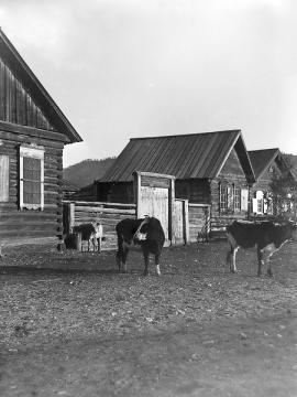 Улица Култука, 1927 год