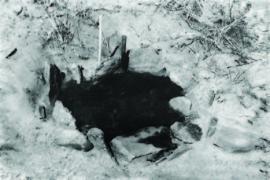 Остатки очага. Раскопки в Ольхонском районе