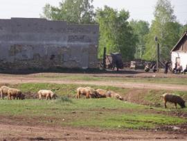 Село Бахтай