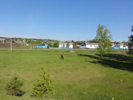 Село Александровск