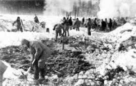 Заключенные на отсыпке земляного полотна железной дороги. Фото 40-х годов ХХ века.