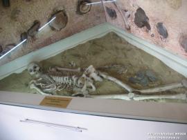 В археологической экспозиции представлено захоронение глазковской культуры.